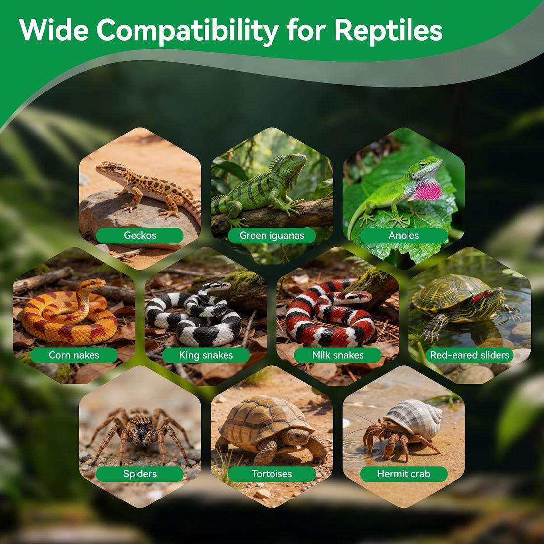 Natural Coconut Fiber Substrate 5 Pack Coco Soil Brick Reptile