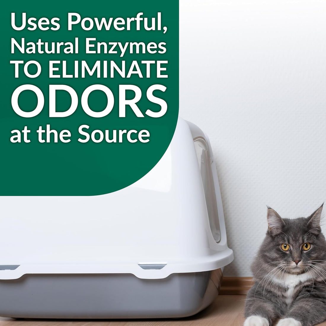 Simple Green Cat Stain & Odor Remover - Enzyme Cleaner for Cat Urine