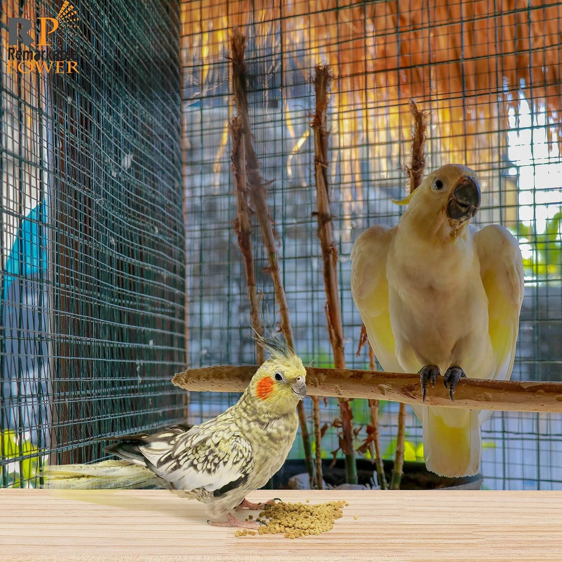 2 Pack Large Bird Perch Stand 13.8x7.9 Inch Wooden Parakeet Platform