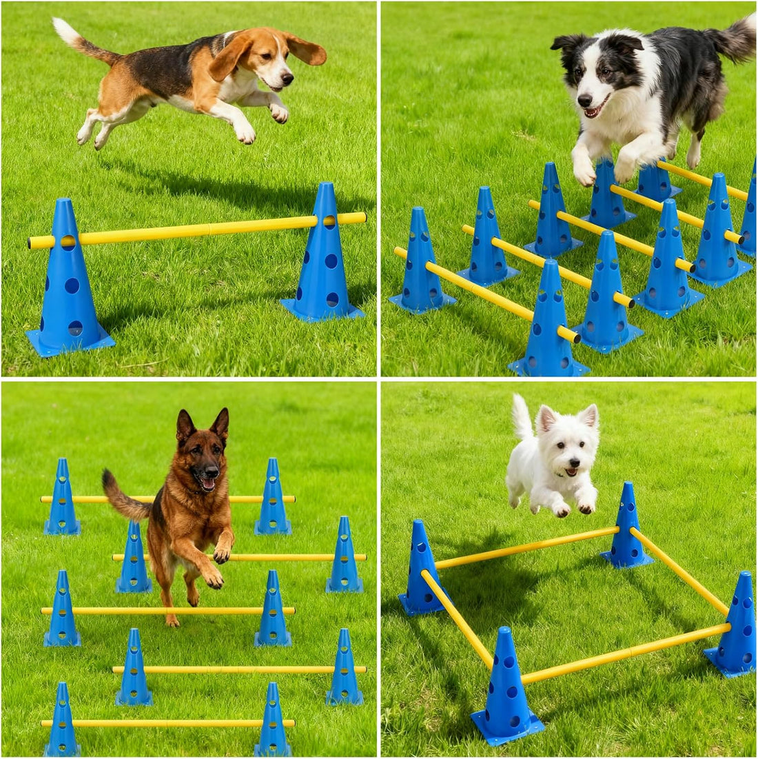 Dog Agility Hurdle Cone Set, 10er 12.5Inch Agility Cones and 5er