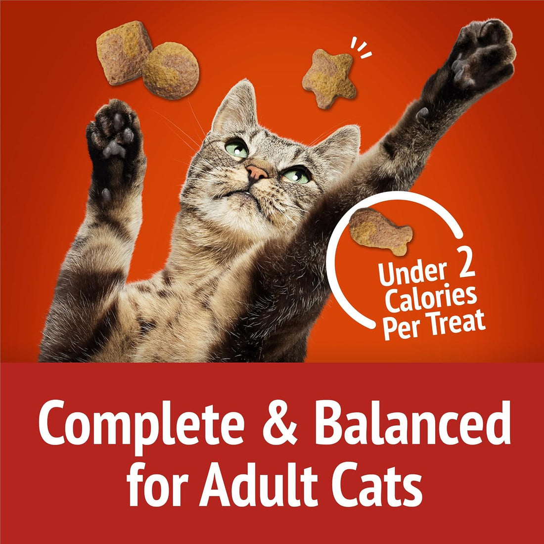 Purina Friskies Party Mix Gravy-Licious Crunch Chicken and Gravy