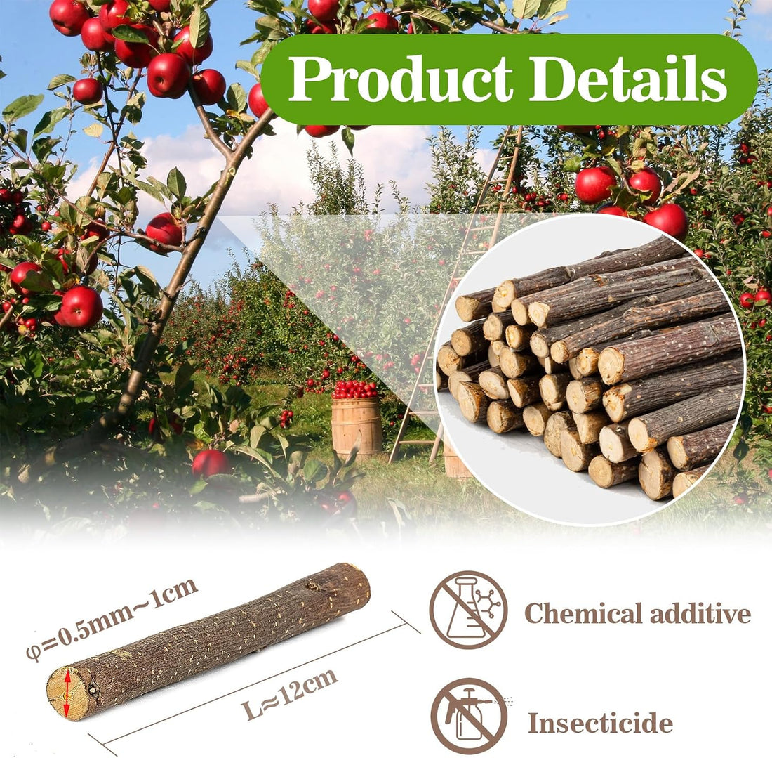 Sukh Natural Organic Apple Sticks - 250g Chew Sticks for Small Animals