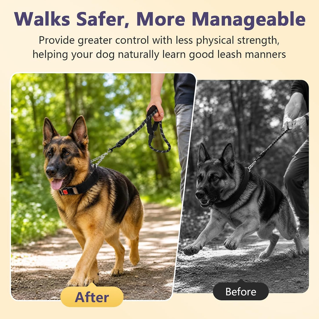 Crazy Felix No Pull Dog Collar