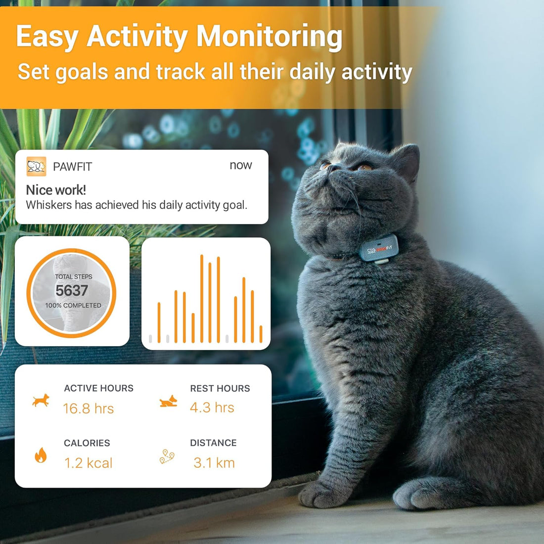 Pawfit Lite 4G GPS Cat Tracker, Live Tracking, Ultra-Light