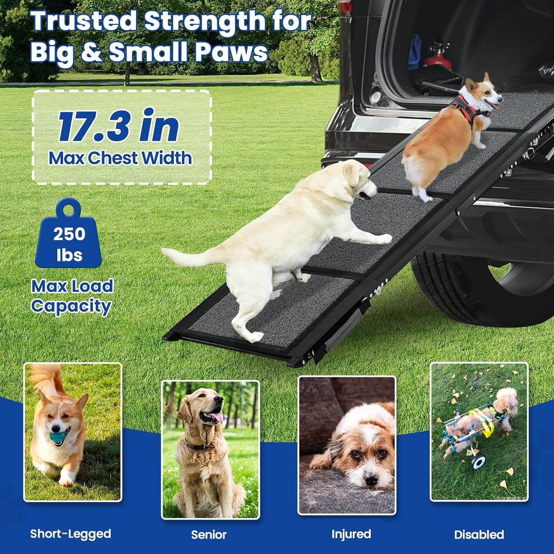 Dog Ramp for Car, Pawlify 71" x 17.3" Dog Ramps for Large Dogs
