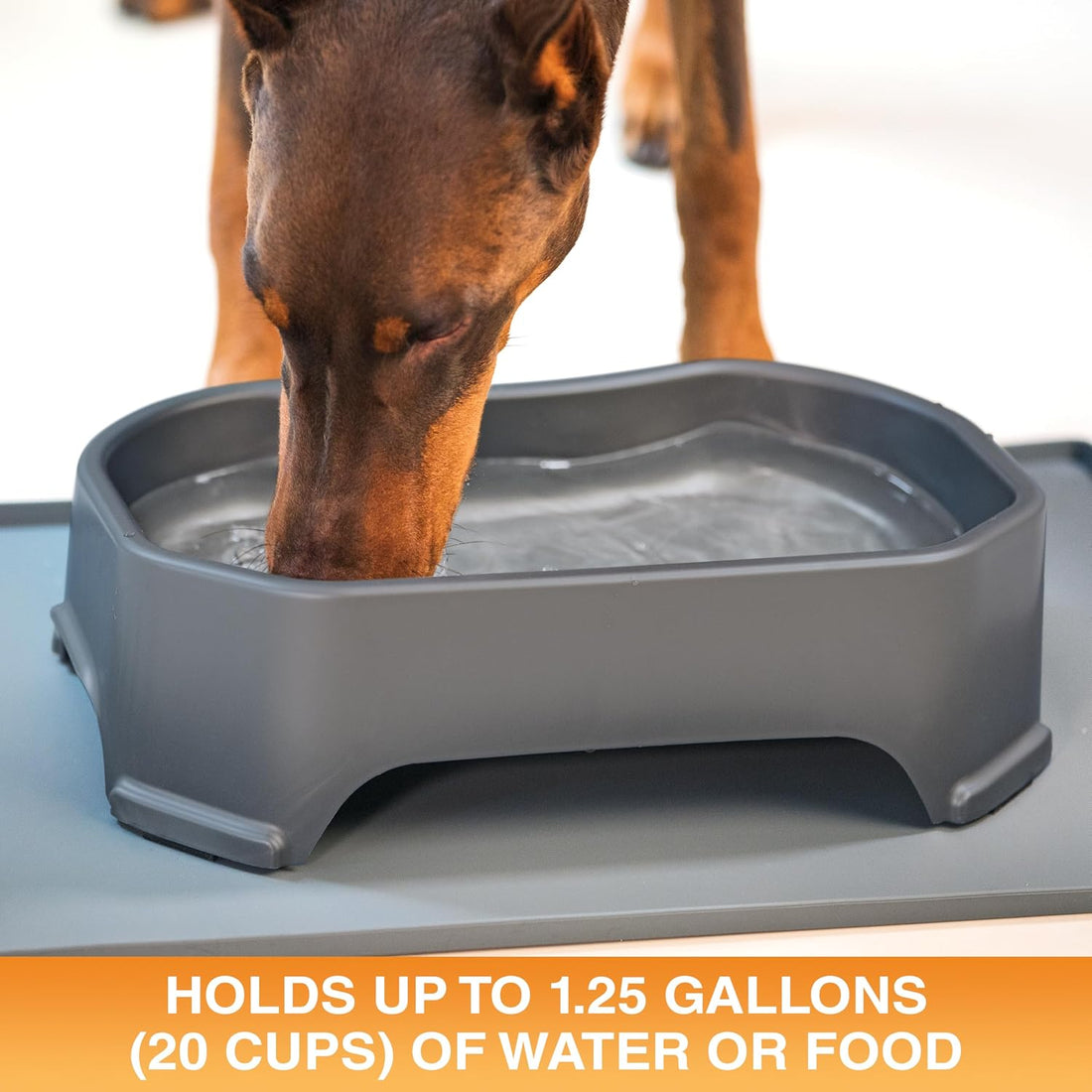 Neater Pet Brands Extra Large Water Bowl for Dogs