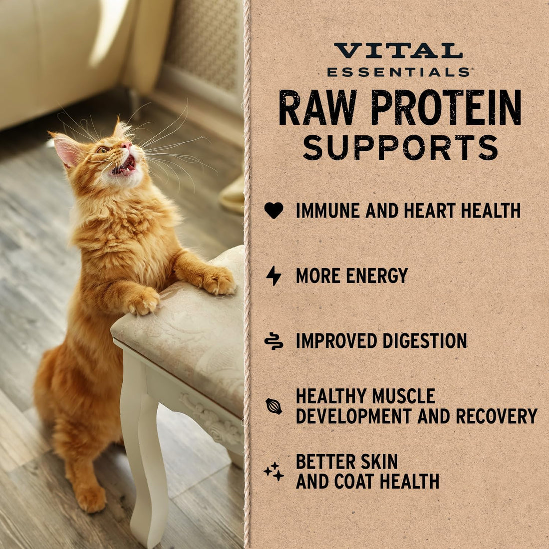 Vital Essentials Freeze Dried Cat Food, Rabbit Crunchy Mini Nibs