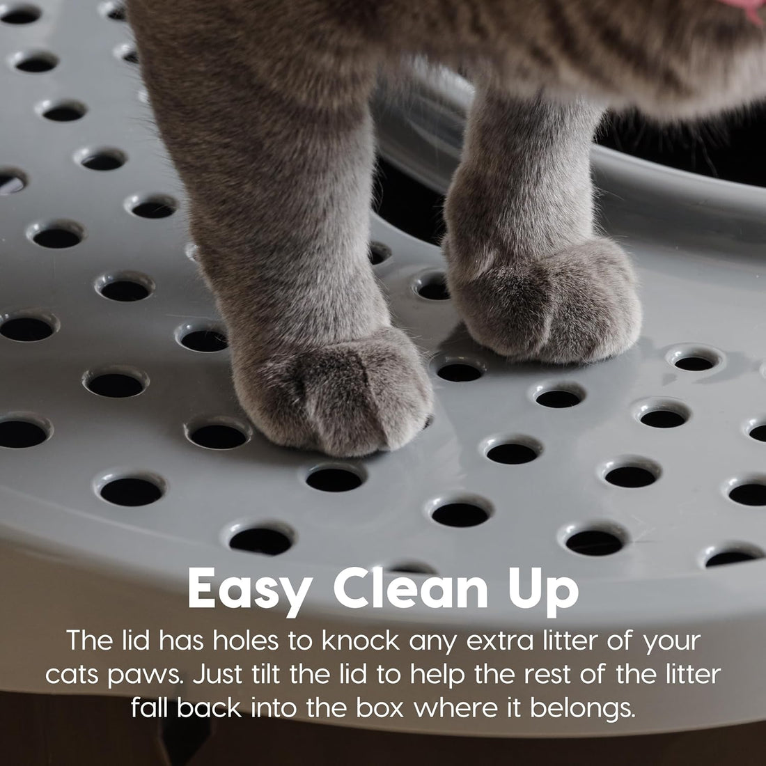 IRIS USA Cat Litter Box Large Top Entry with Lid Enclosed Covered