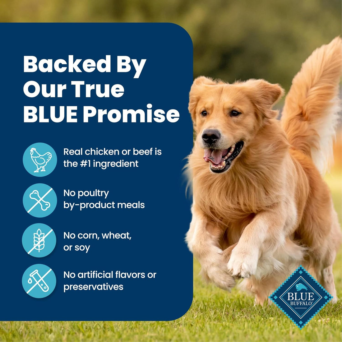 Blue Buffalo Homestyle Recipe Wet Dog Food Paté Variety Pack