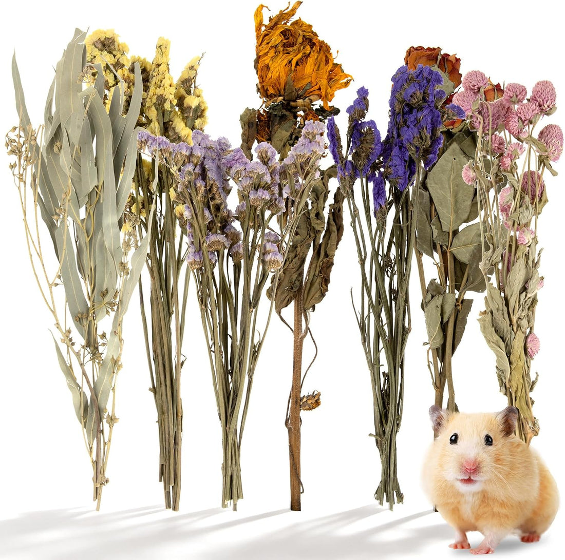 Sukh 42Pcs Hamster Sprays Natural - Sprays & Forage for Small Animals