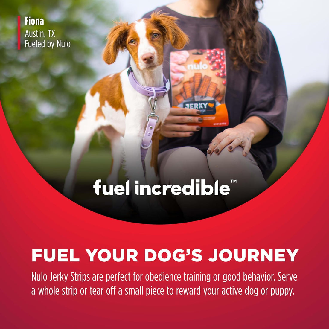 Nulo Premium Jerky Strips Dog Treats