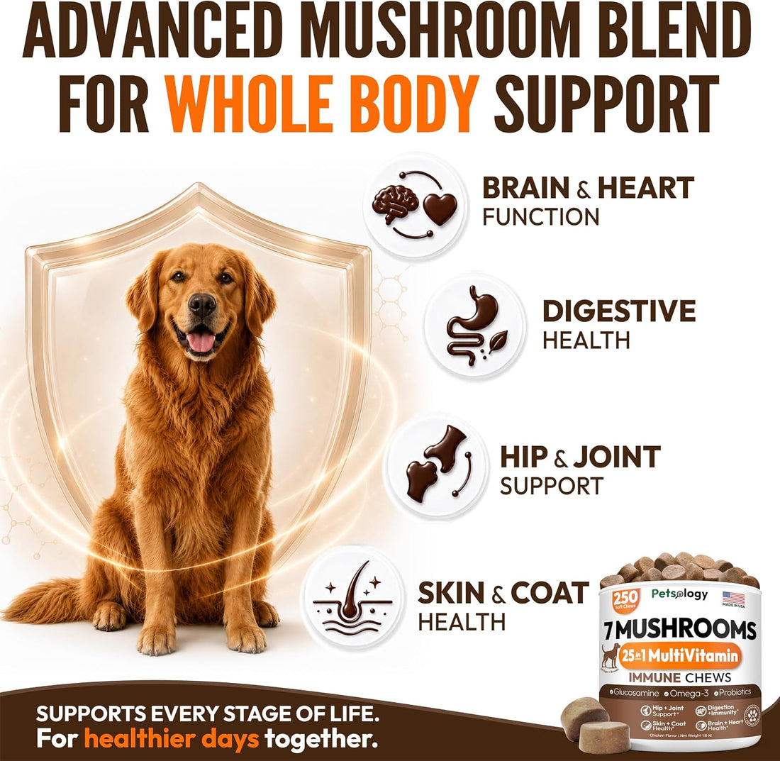Turkey Tail Mushroom for Dogs - 250 Chews - Lion’s Mane - Shiitake
