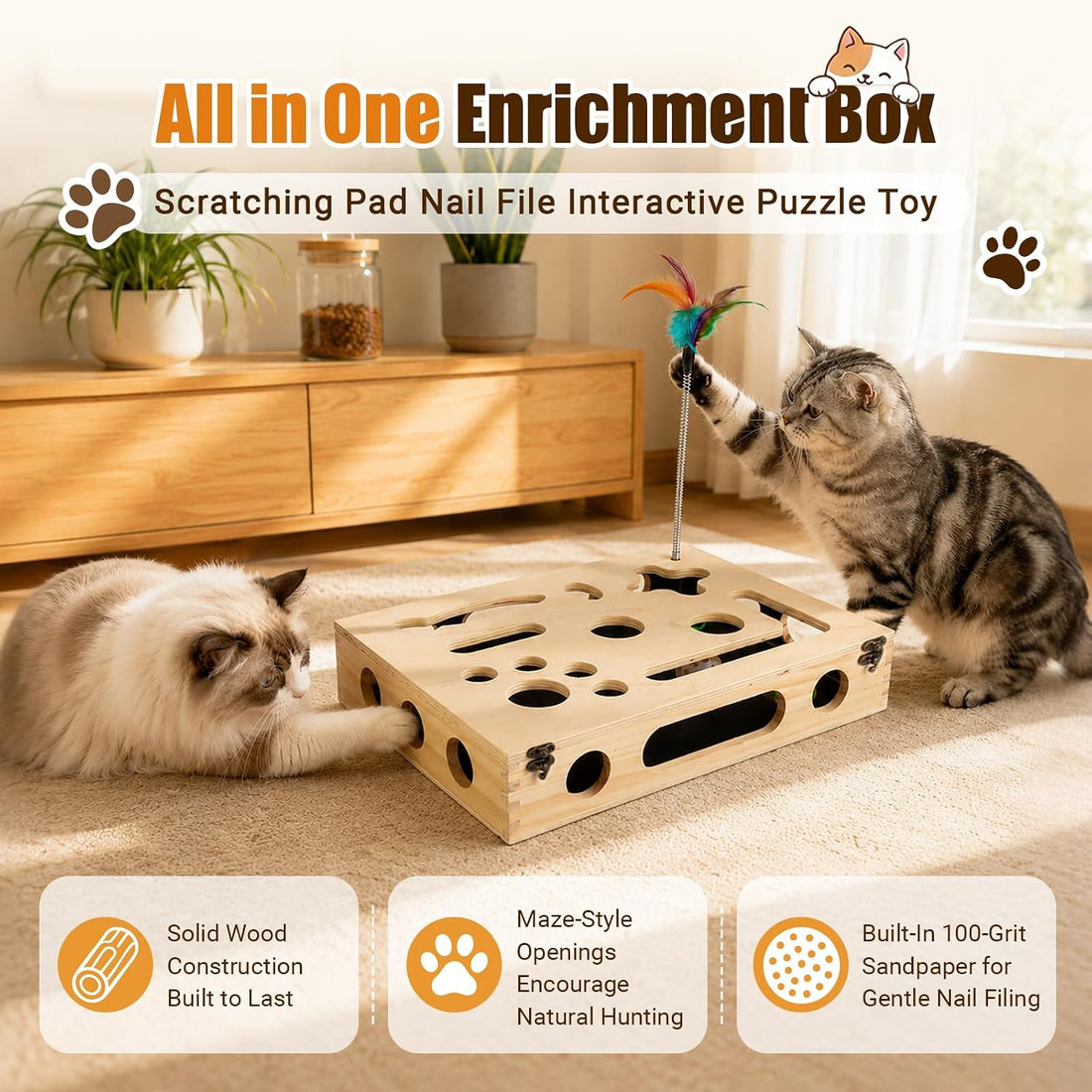 Cat Scratch Puzzle Enrichment Box