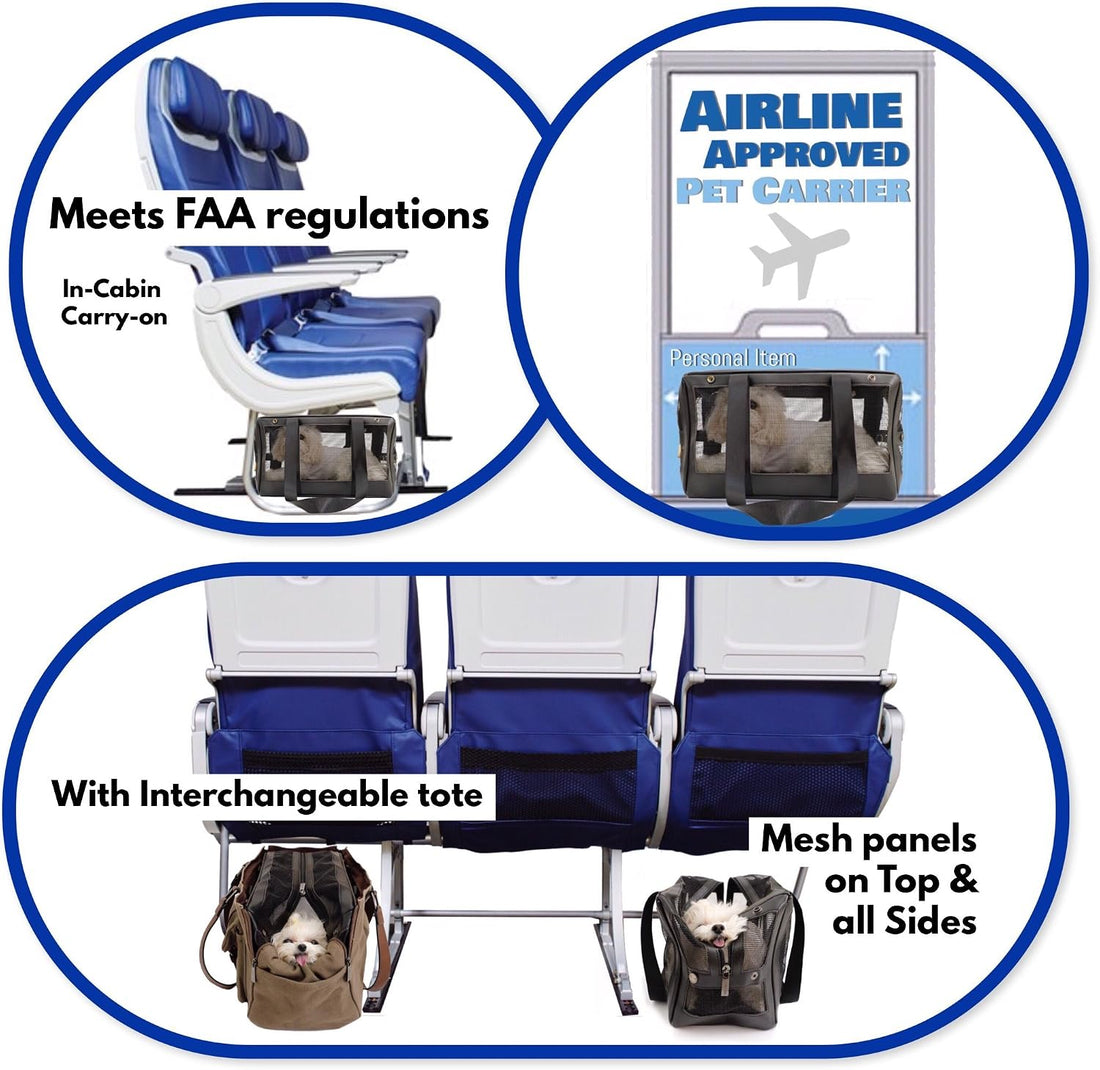 Airline Approved Interchangeable Pet Carrier