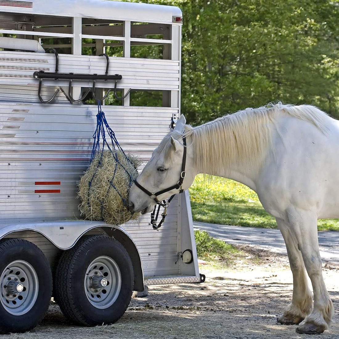Dunzy 2 Pcs Tack Rack with Swivel Hooks, Metal Bridle Hanger