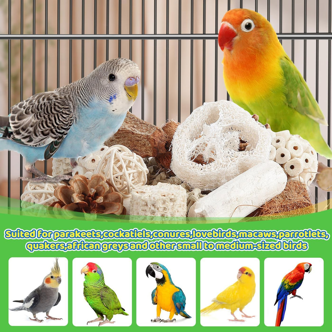 Kyouki Bird Toys Parrot Toys Natural Bird Foraging Box Foot