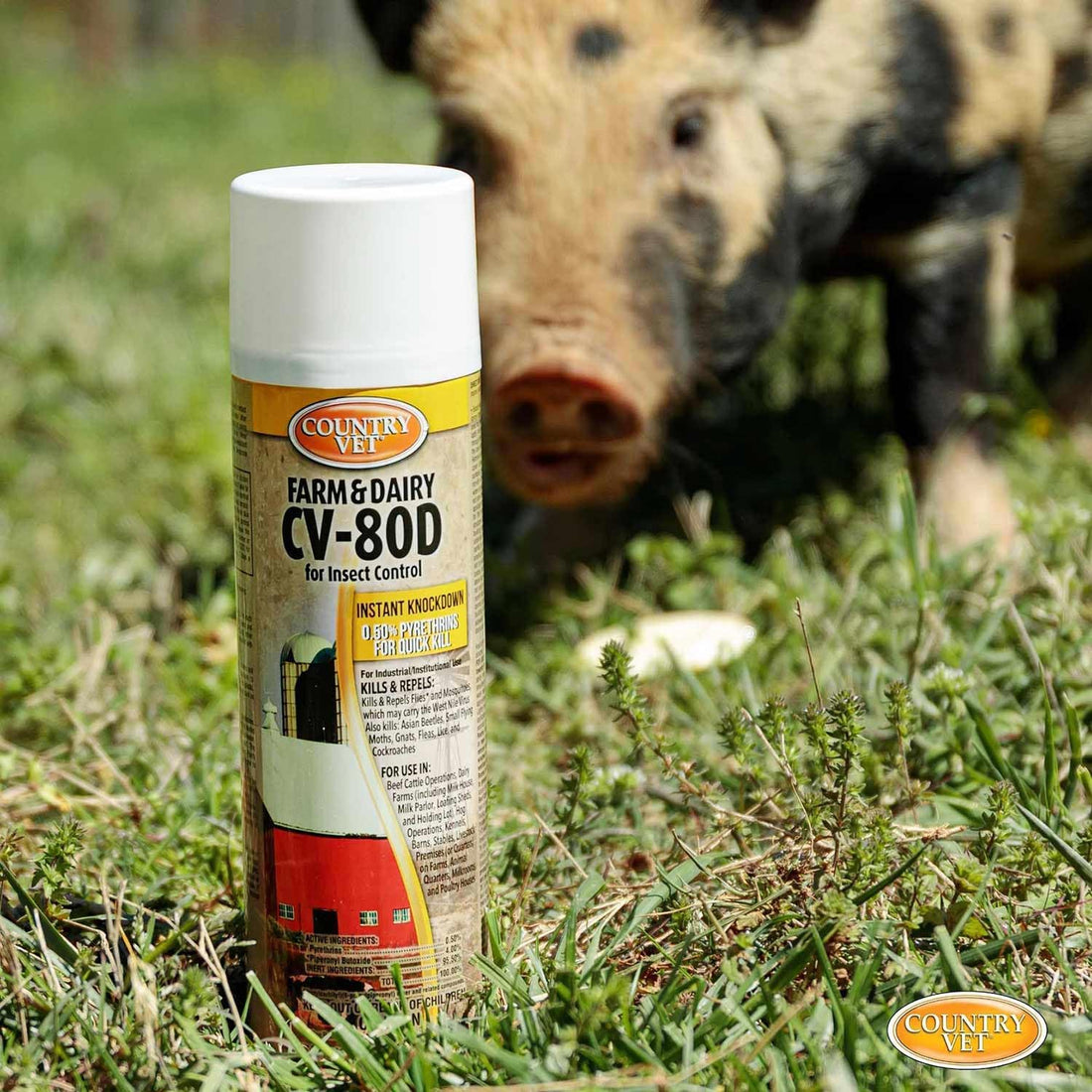 Country Vet CV-80D Farm and Dairy (1)