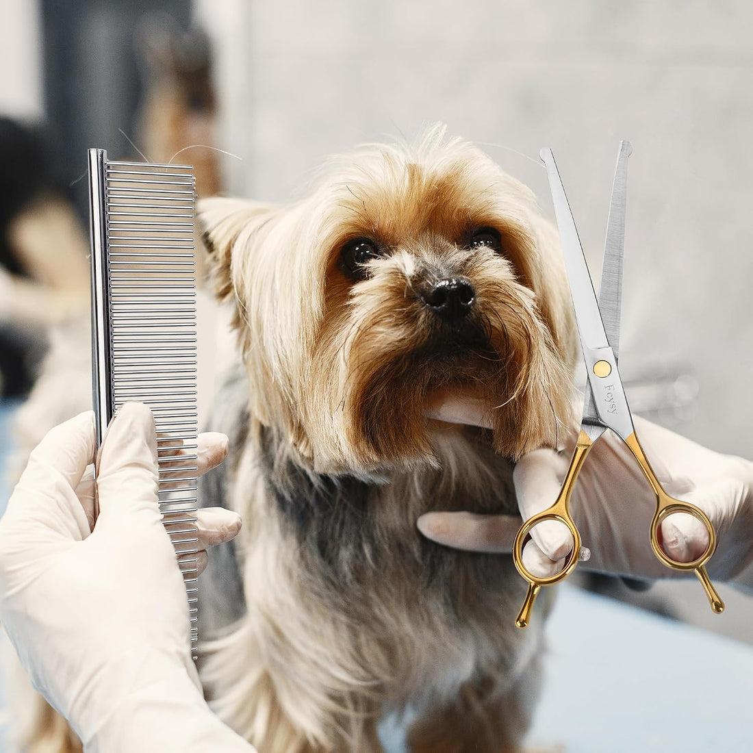 Dog Grooming Scissors Kit, Curved Pet Grooming Shears Set