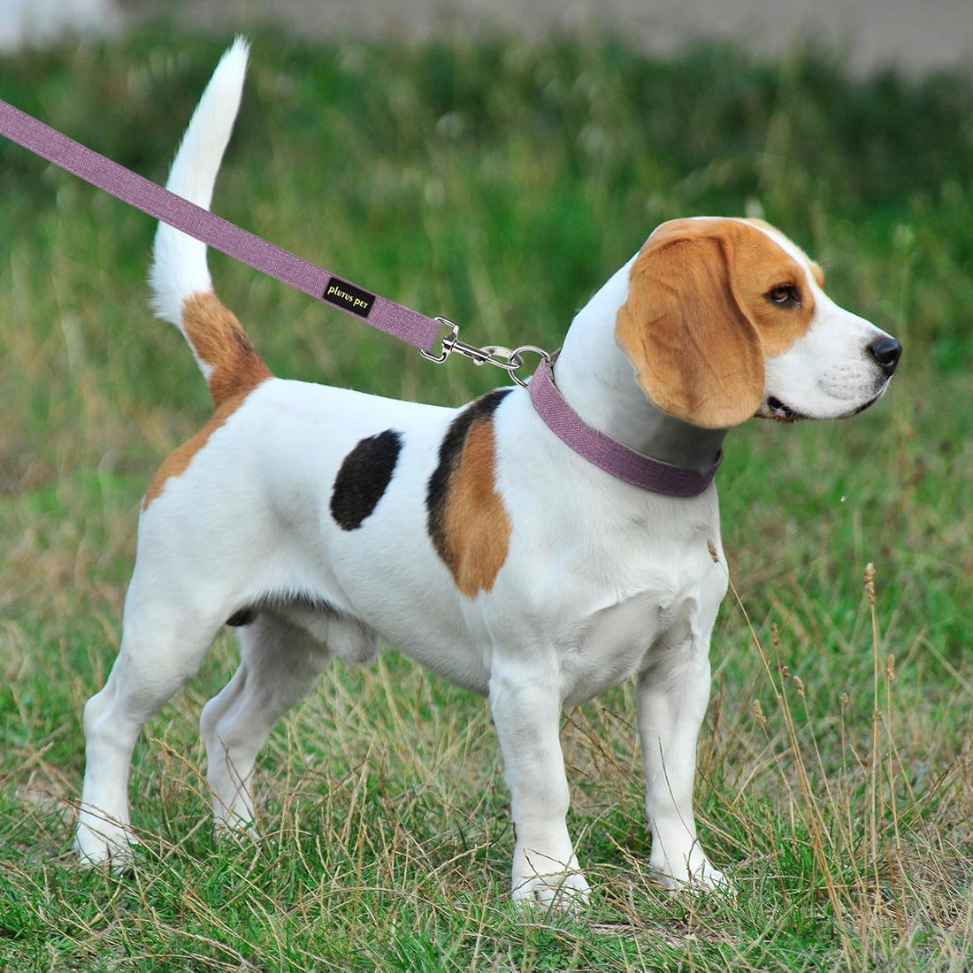 Plutus Pet Cotton Hemp Dog Collar and Leash Set