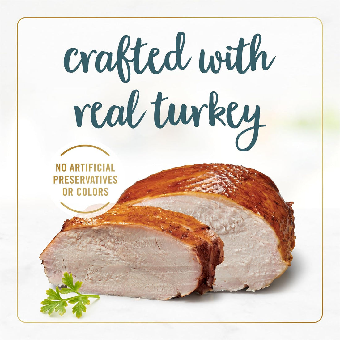 Purina Fancy Feast Gravy Lovers Turkey Feast Grilled Gourmet Cat Food