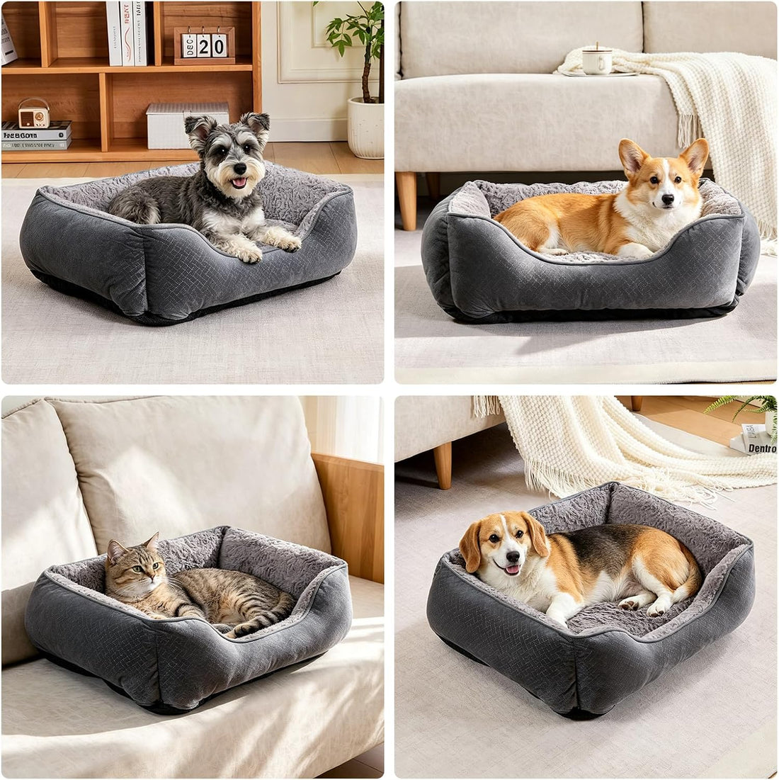 Dog Bed for Small Dogs Washable, Super Soft Durable Cat Bed
