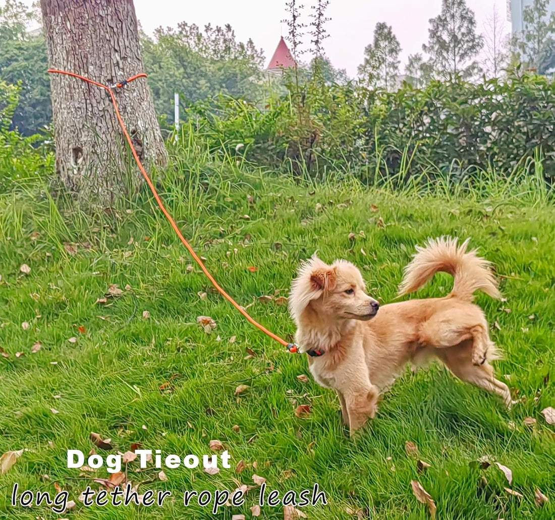 SEPXUFORE Tie Out Rope Dog Leash