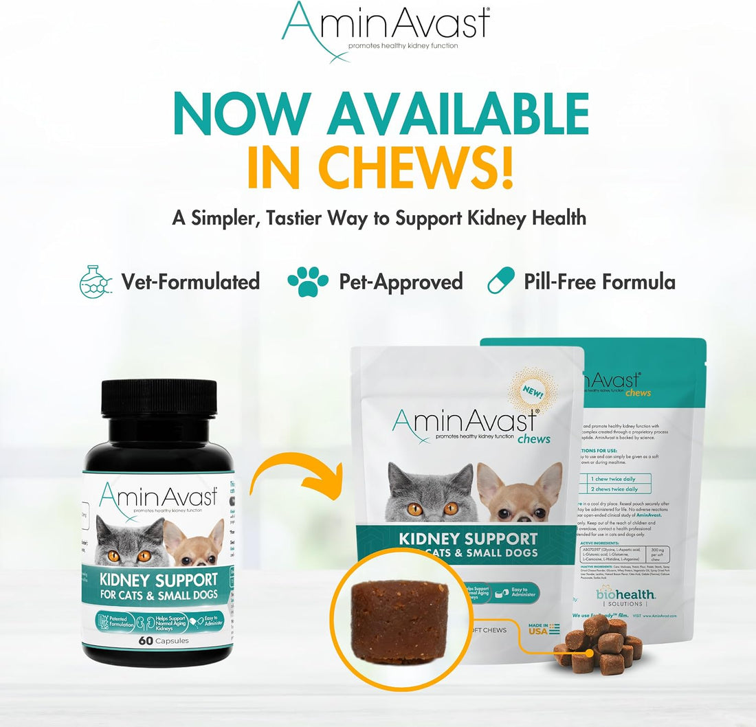 AminAvast 300mg Kidney Support for Cats & Small Dogs