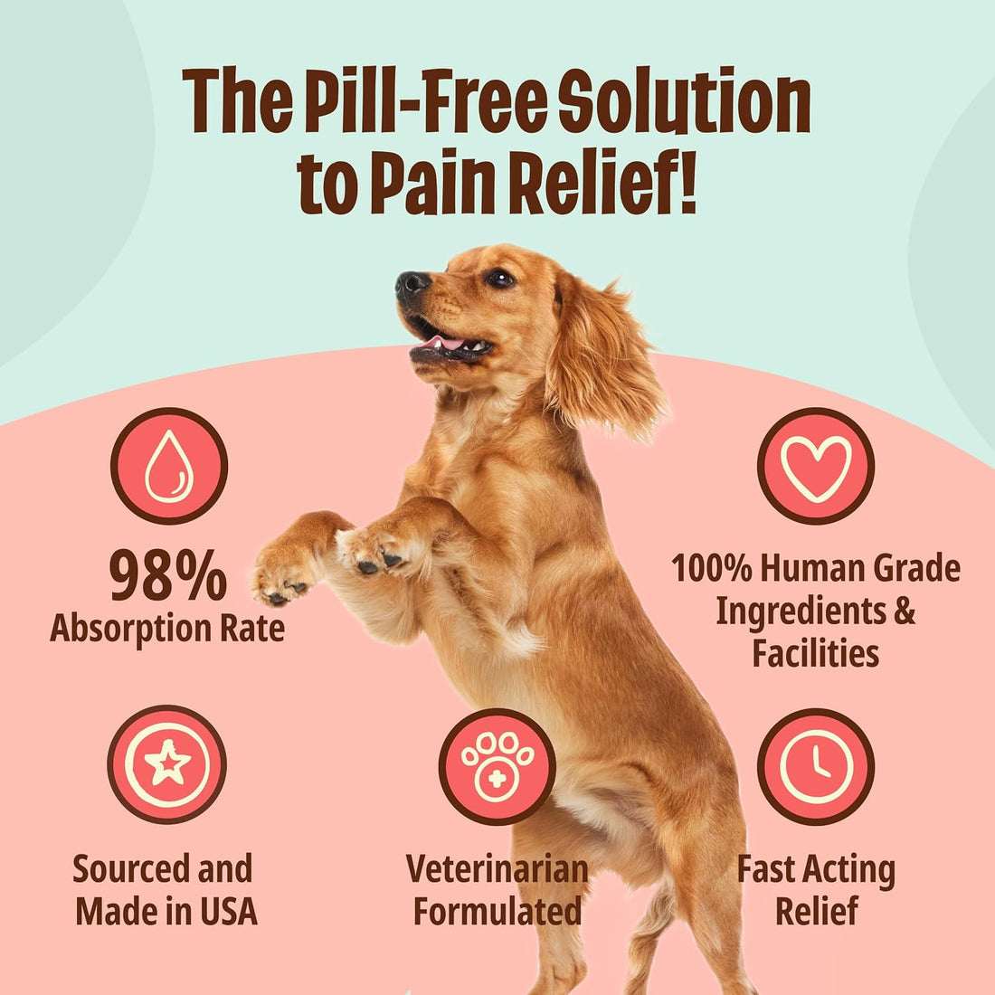 Licks Pain Relief, Aspirin Formula, for Dogs, 30 Packets