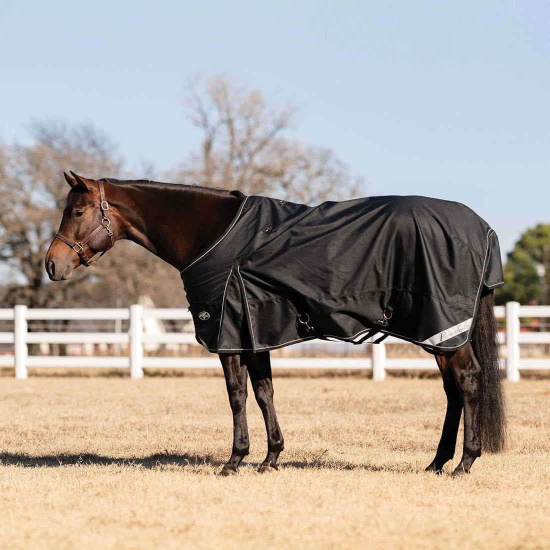 PROFESSIONAL'S CHOICE 1200D Ripstop Horse Turnout Rain Sheet