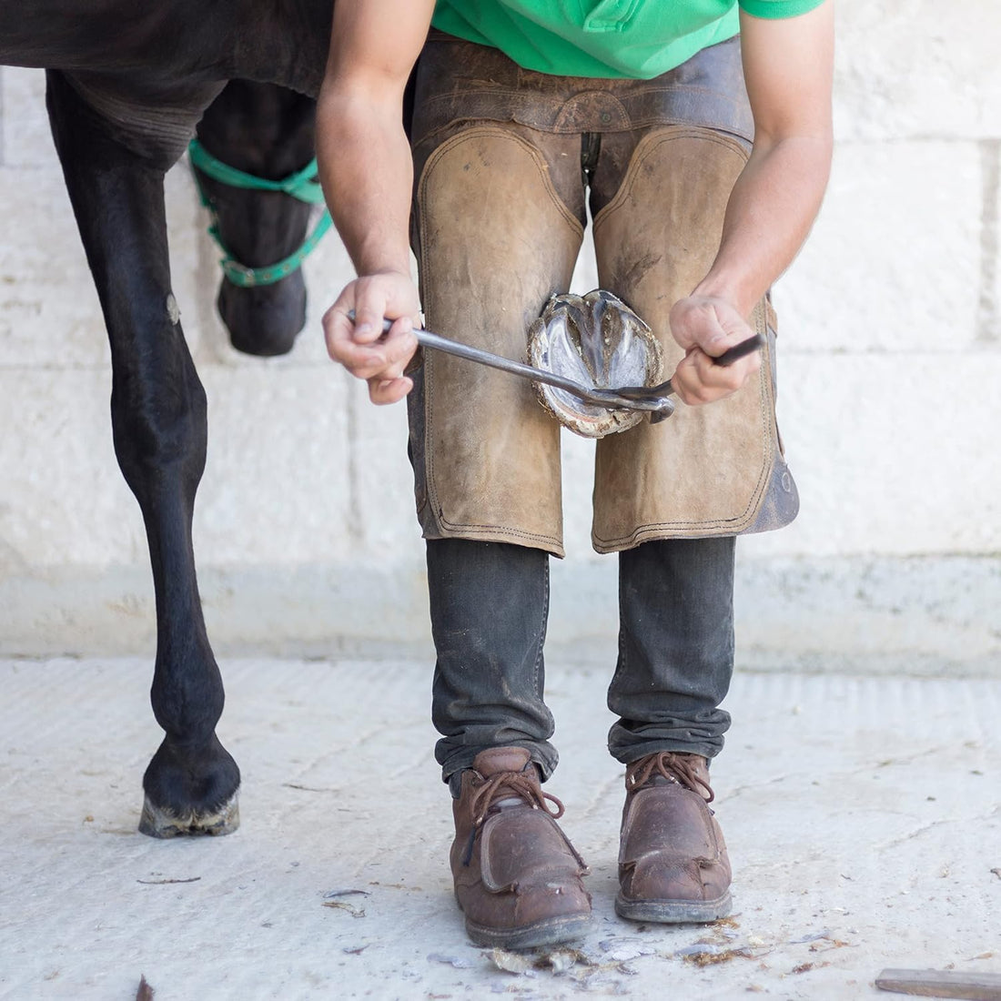 SURGICAL ONLINE Premium Hoof Tester for Horses - 13" Size