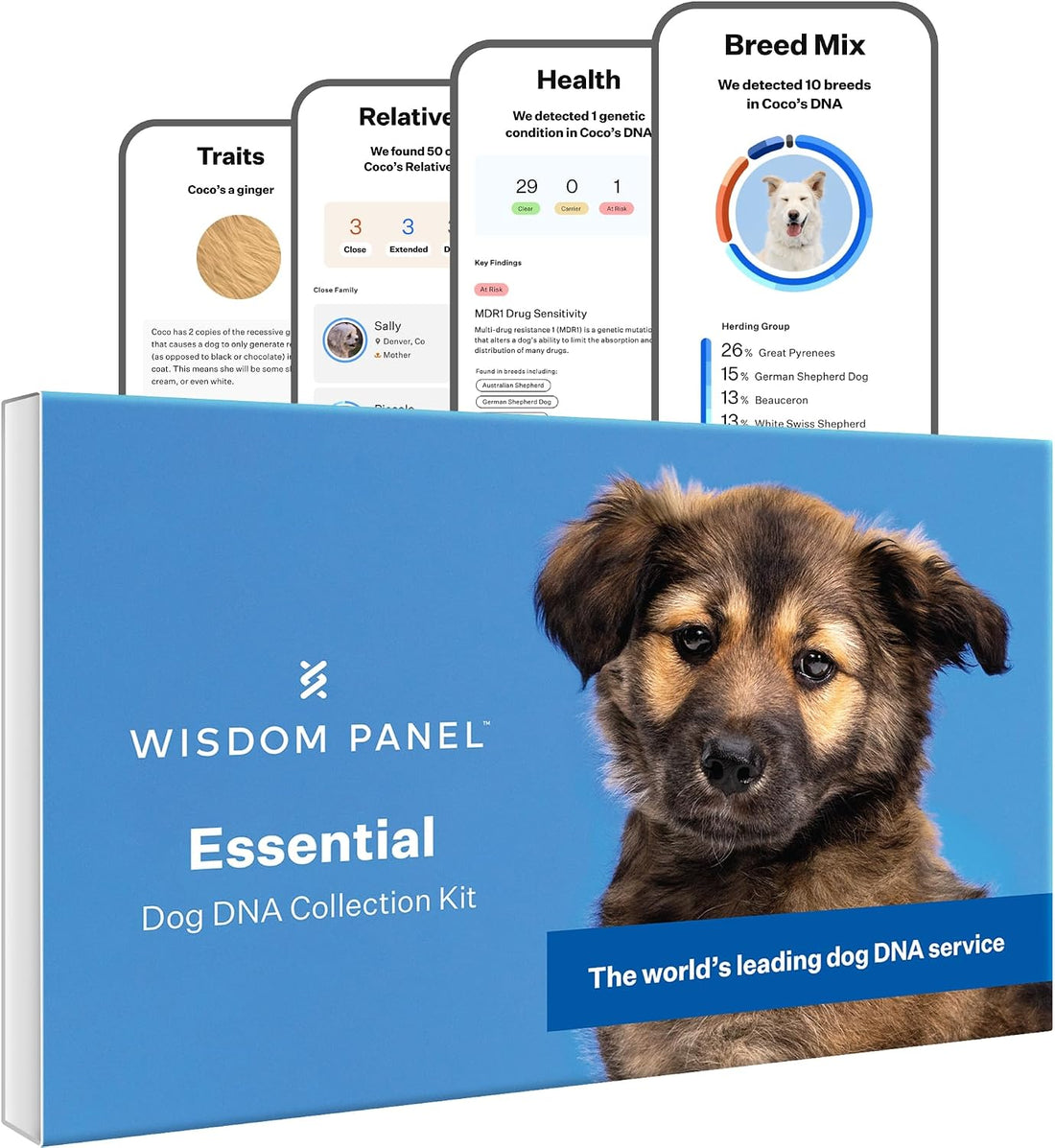 Wisdom Panel Essential Dog DNA Kit: Most Accurate Test for 365+ Breeds