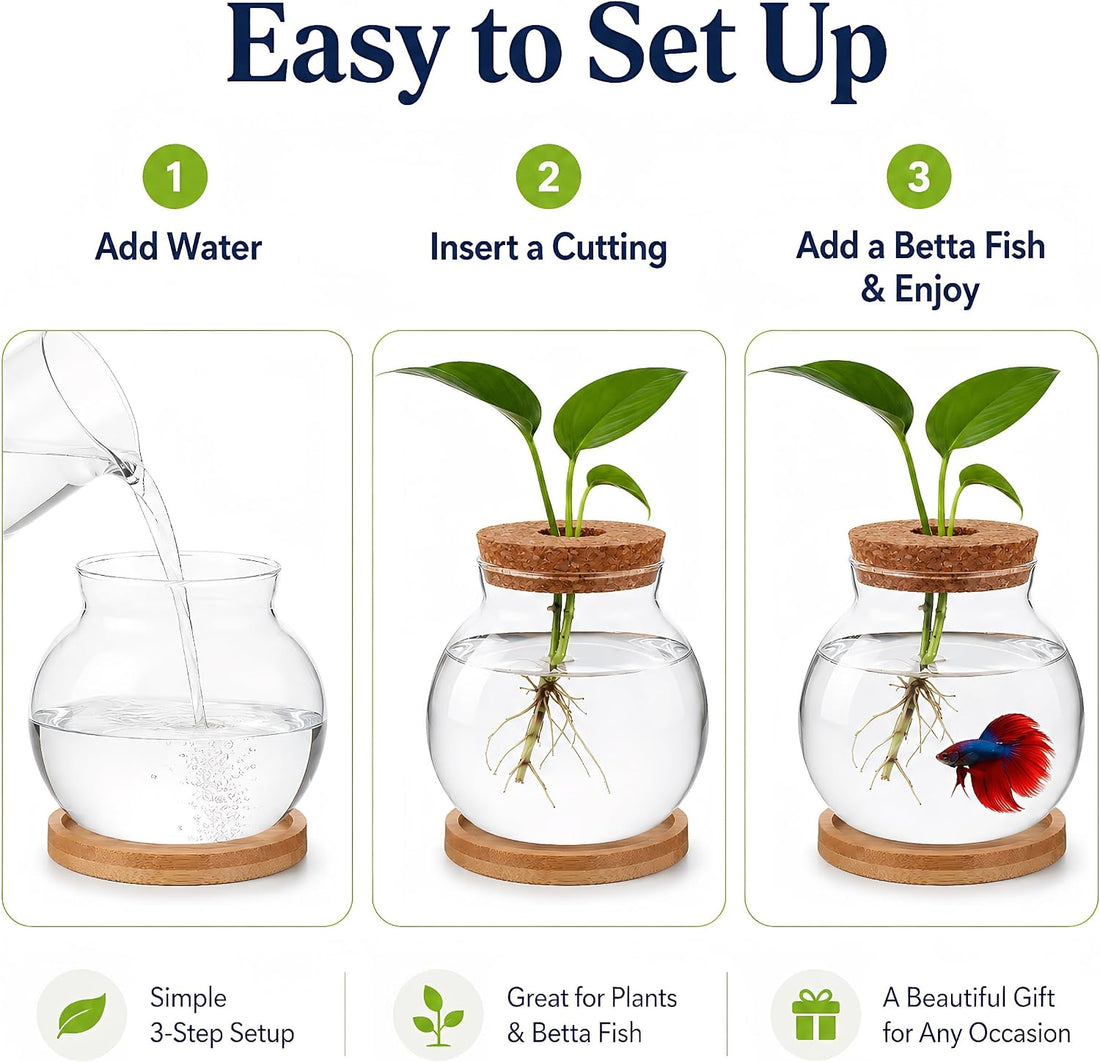 Healifty Desktop Fish Bowl, Glass Hydroponic Planter Tank Kit 5. 1 X