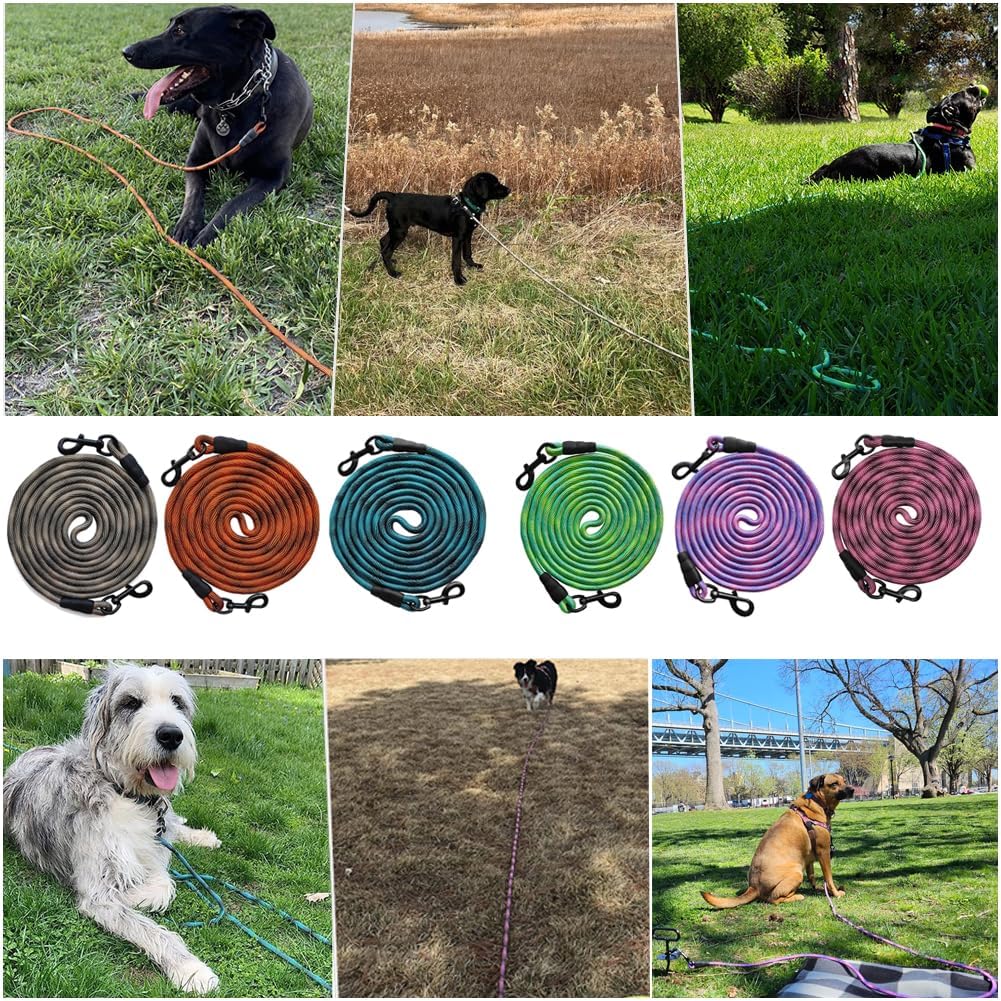 BTINESFUL Dog Tie Out, Check Cord Long Tether Rope Leash