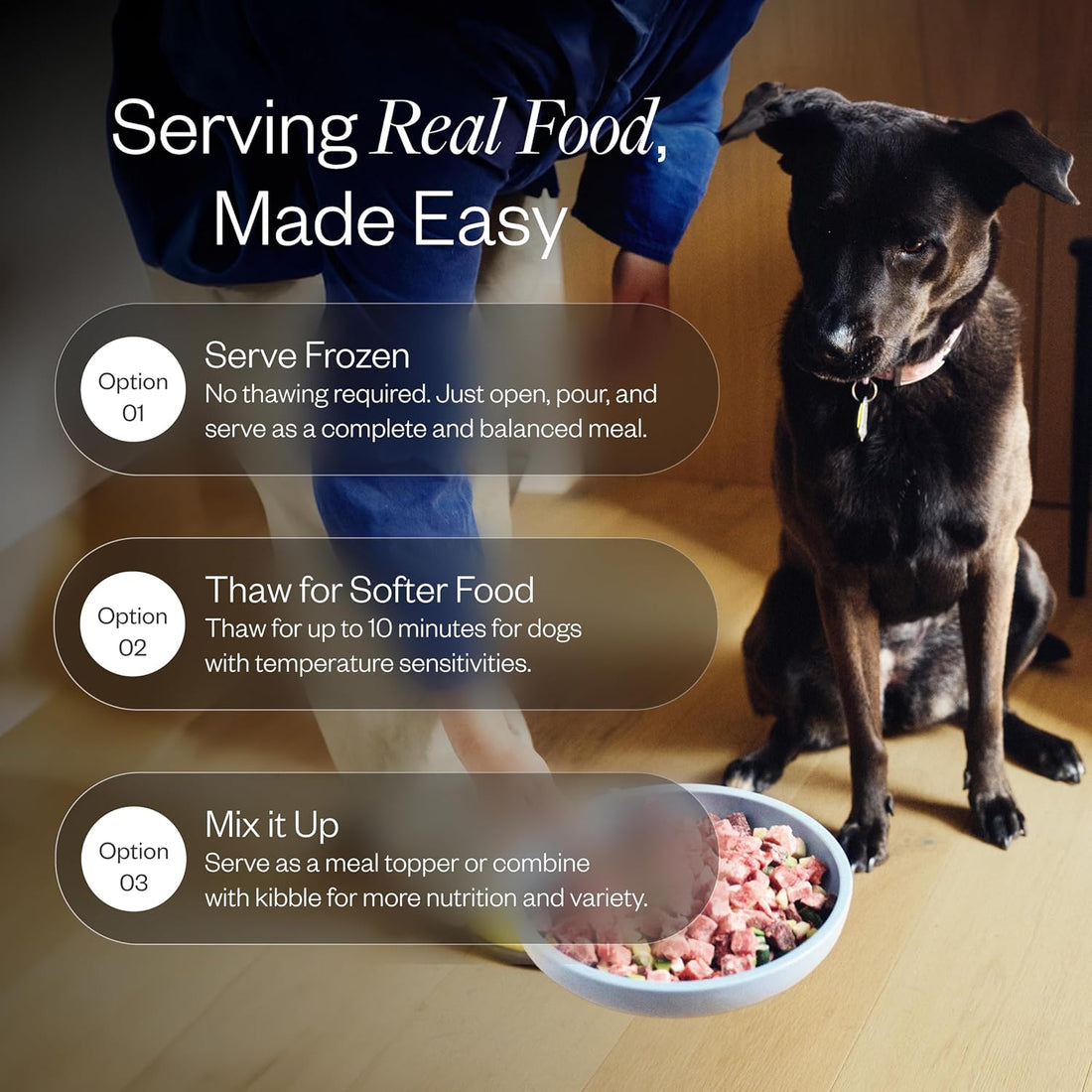 Maev Human-Grade Fresh-Frozen Beef Dog Food, Skin & Coat Formula