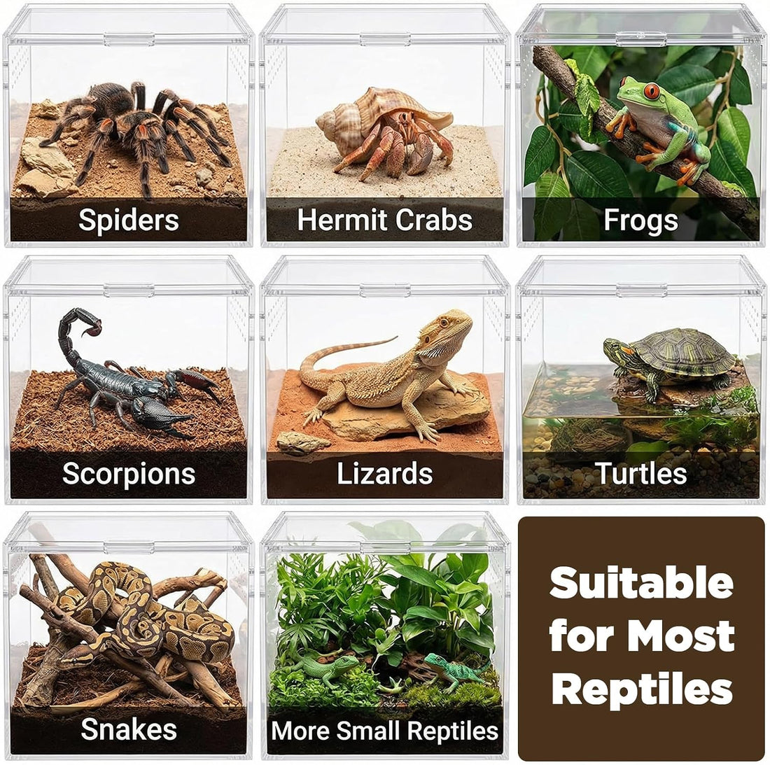 6 Pcs Spider Micro Water Bowls, Tarantula Enclosure Accessories