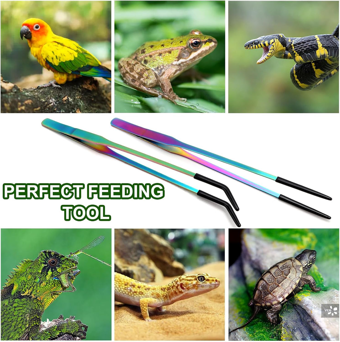 OLIISS Iridescent Reptile Feeding Tongs with Rubber Tips, 10.6"