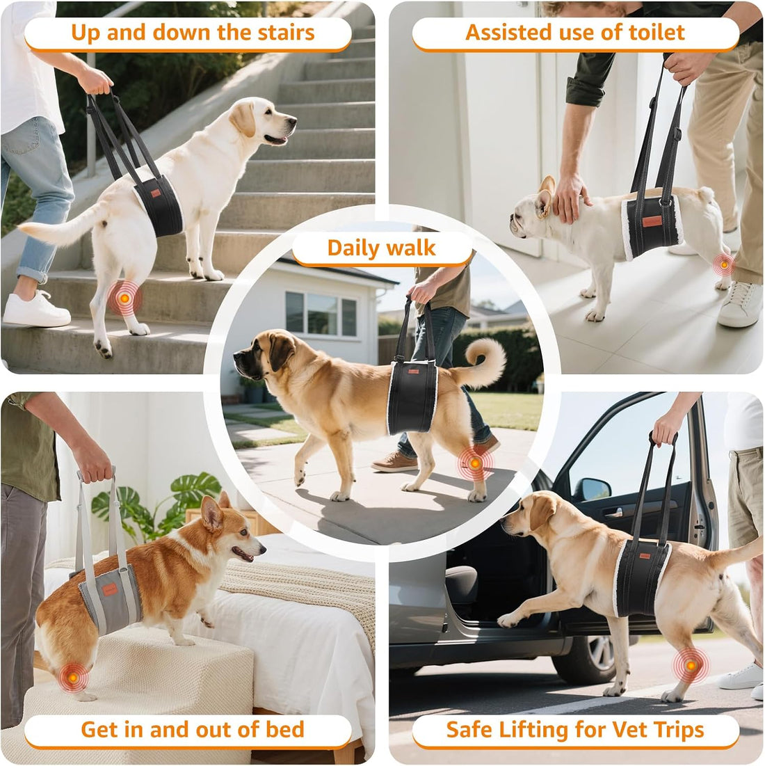LOOBANI Portable Dog Sling for Back Legs