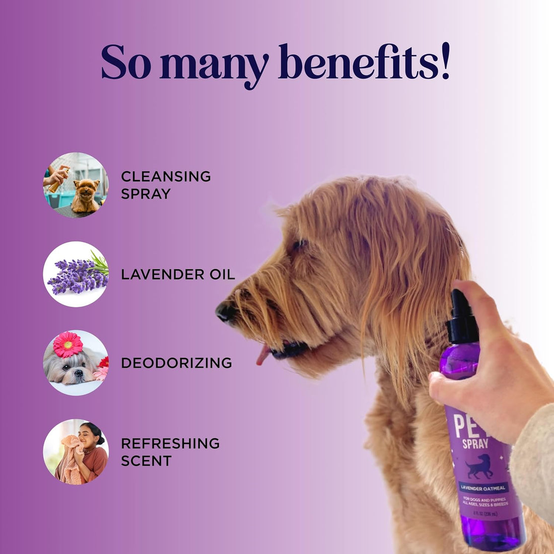 Lavender Oil Dog Deodorizing Spray