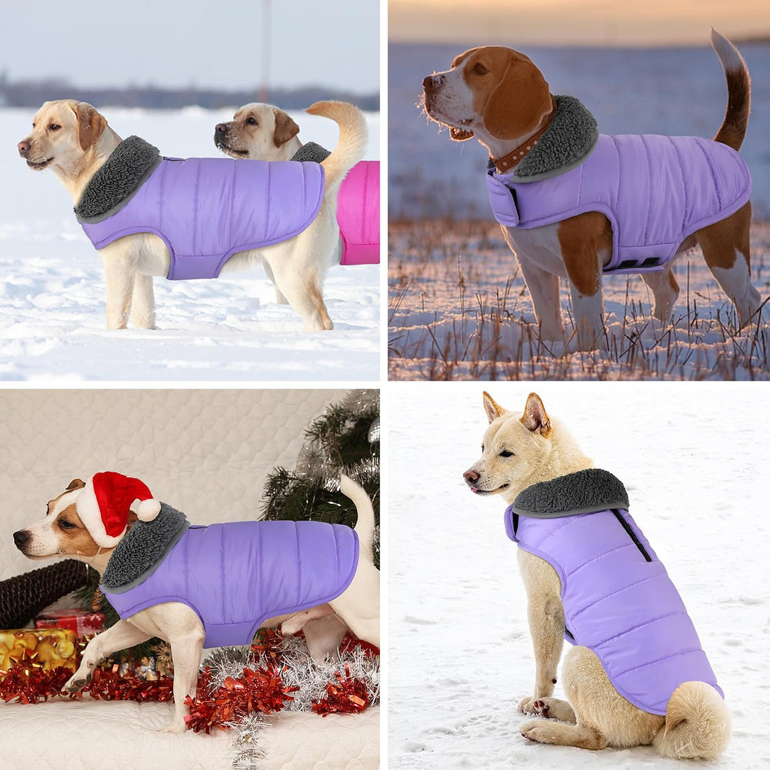 Petglad Waterproof Dog Winter Coat