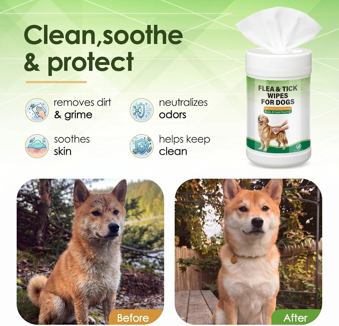 2 Pack Flea & Tick Wipes for Dogs Plant-Based Wipes for Flea and Tick