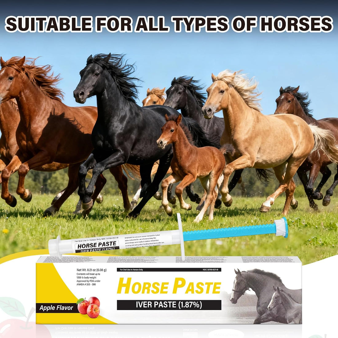 12 Pack Equine Paste 1.87% – Apple Flavored Oral for Horse