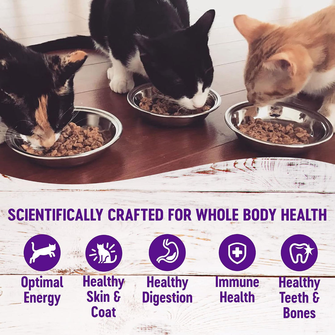 Wellness Healthy Indulgence Morsels Variety Pack Adult Wet Cat Food
