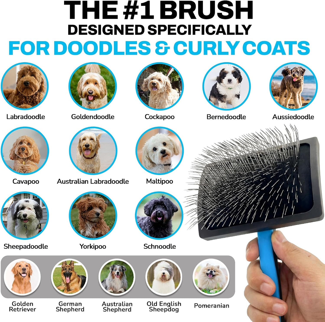The Doodle Brush Slicker Brush Dog Poodle Brush Detangler