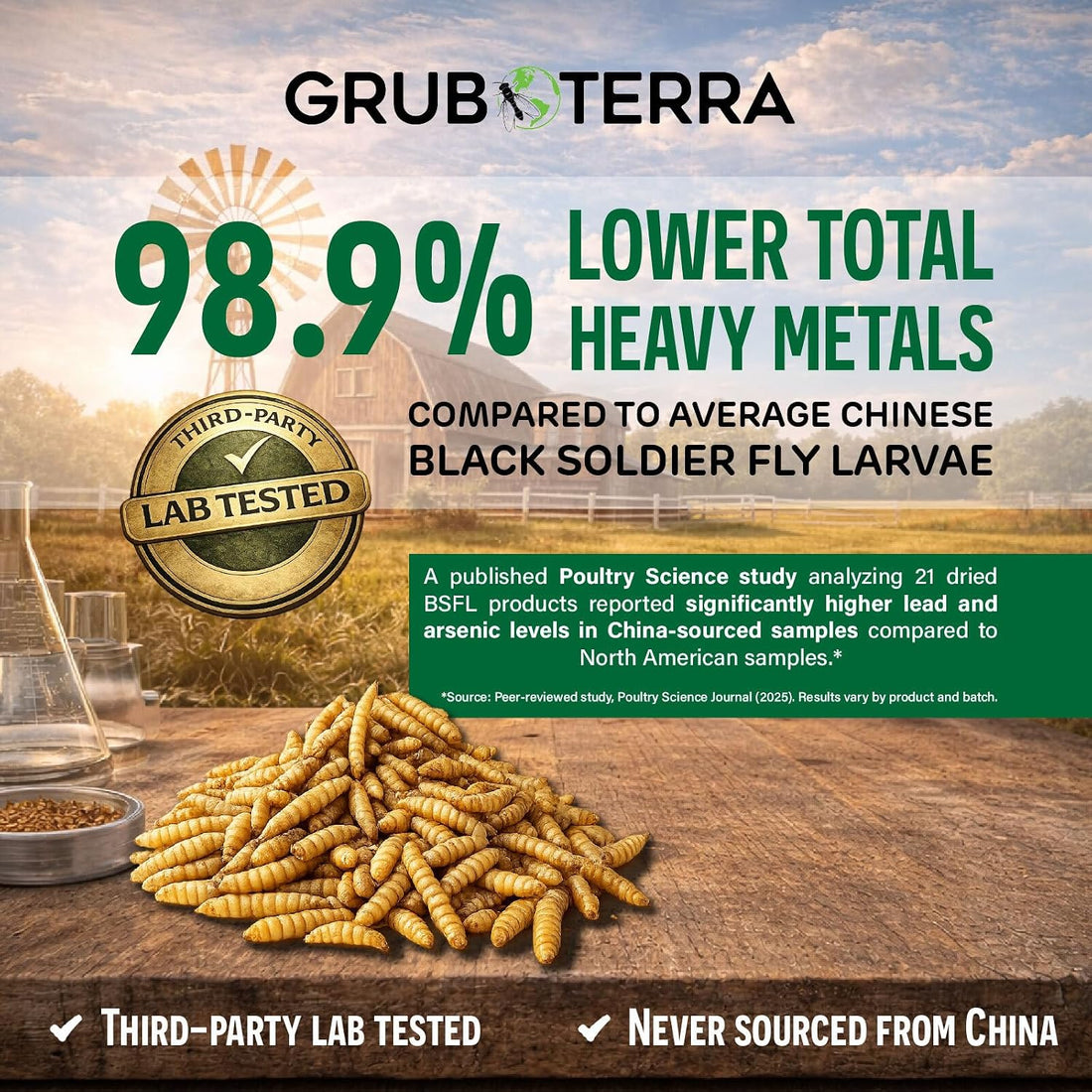 GrubTerra Black Soldier Fly Larvae for Chickens