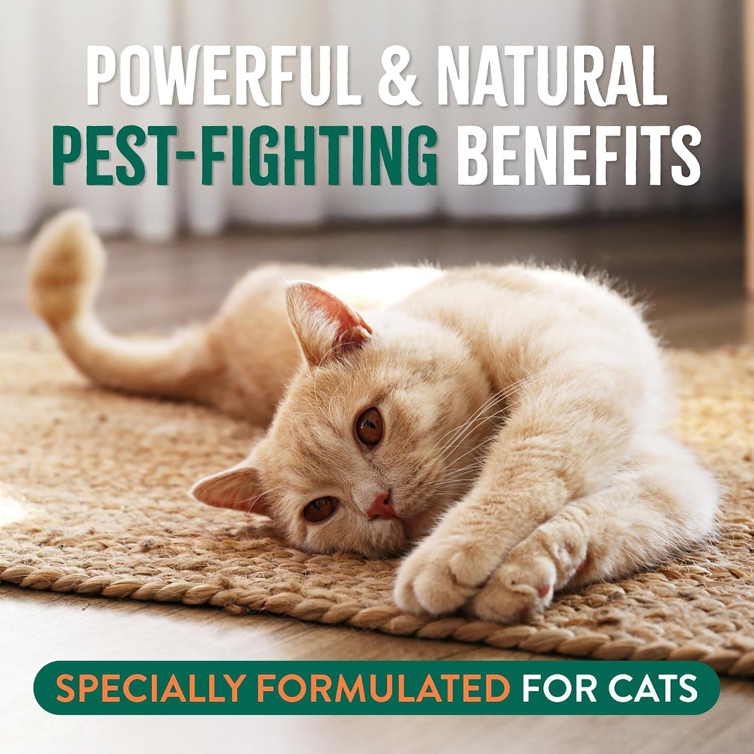 TropiClean Gentle Flea Shampoo for Cats