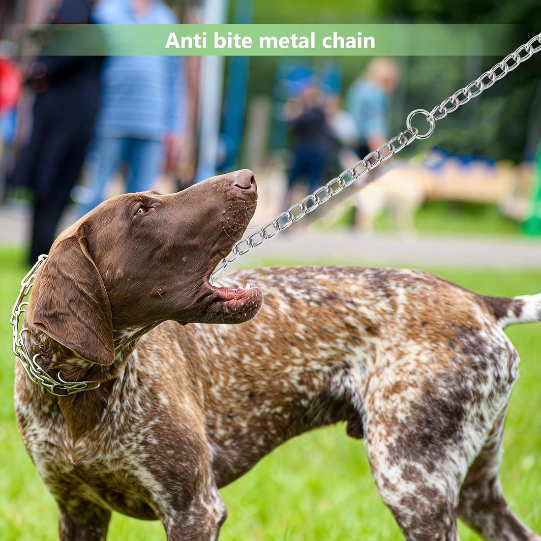 Hypeety Double-Head Dog Leash Chain Heavy Duty Twin Lead for 2 Dogs