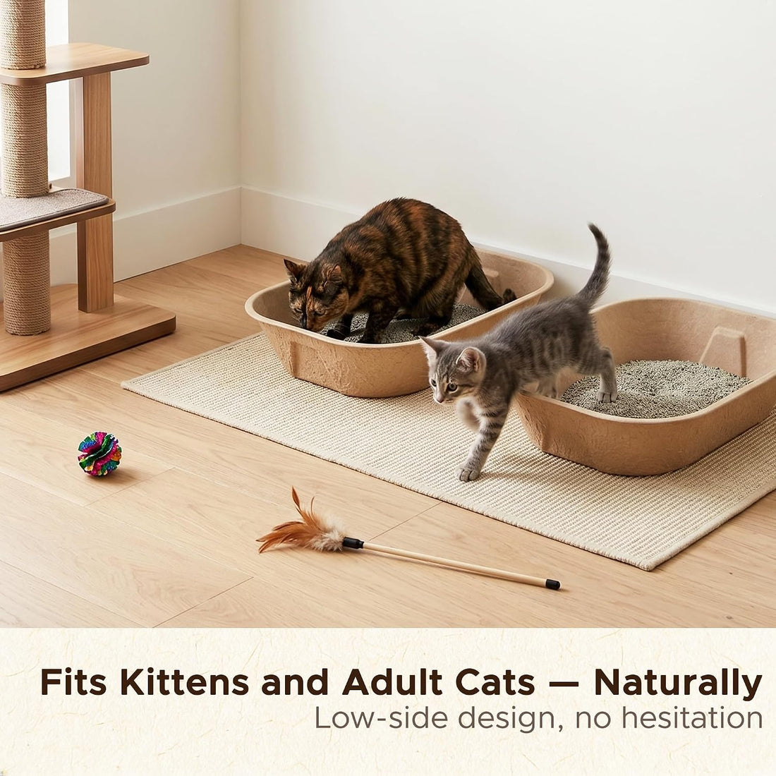 3-Pack Disposable Litter Box for Kittens