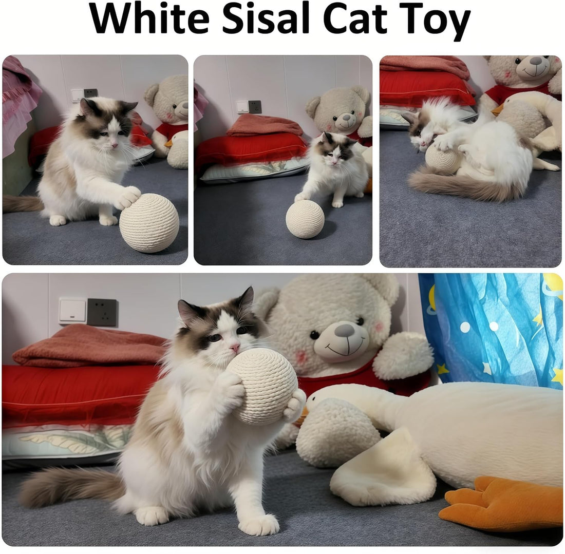 DMZBJ 4-Inch Sisal Cat Toy Balls with Crinkle Sound