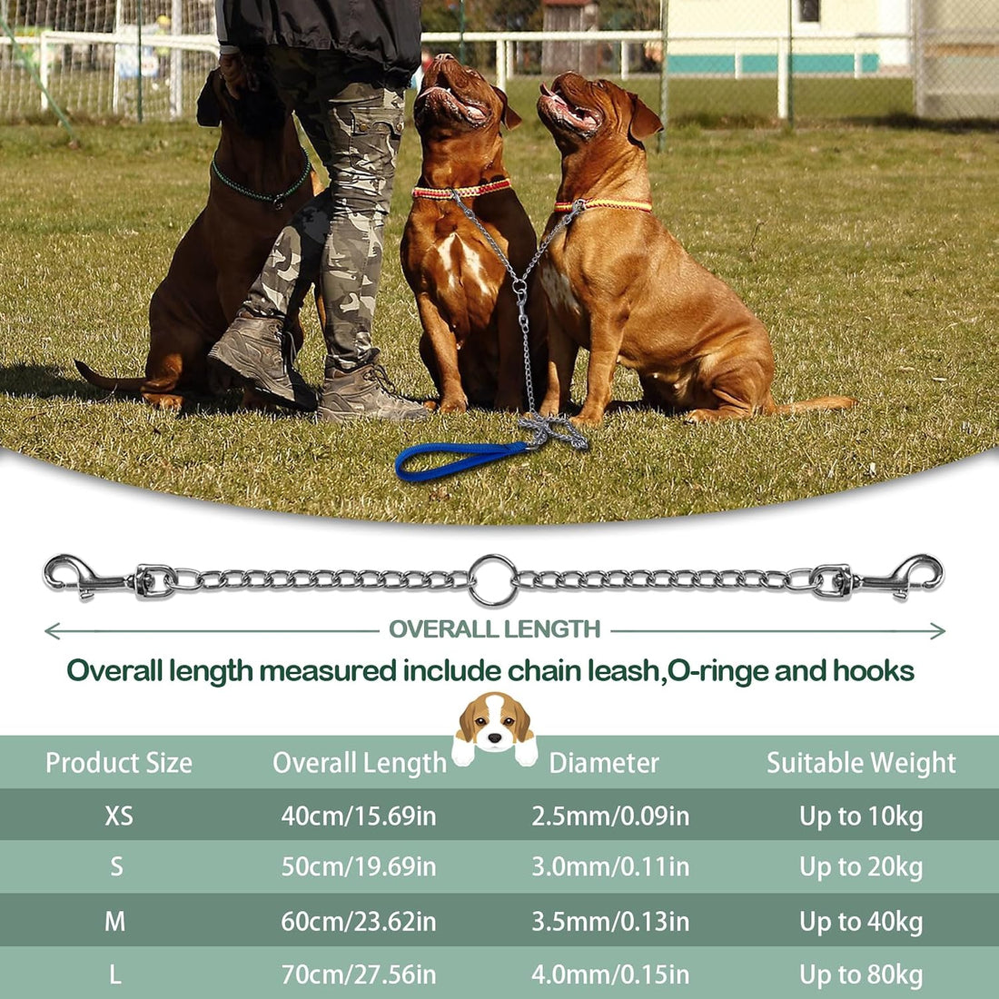 LOS ANDES Metal Double Dog Leash Chew Proof Chain Leash 2 Way No