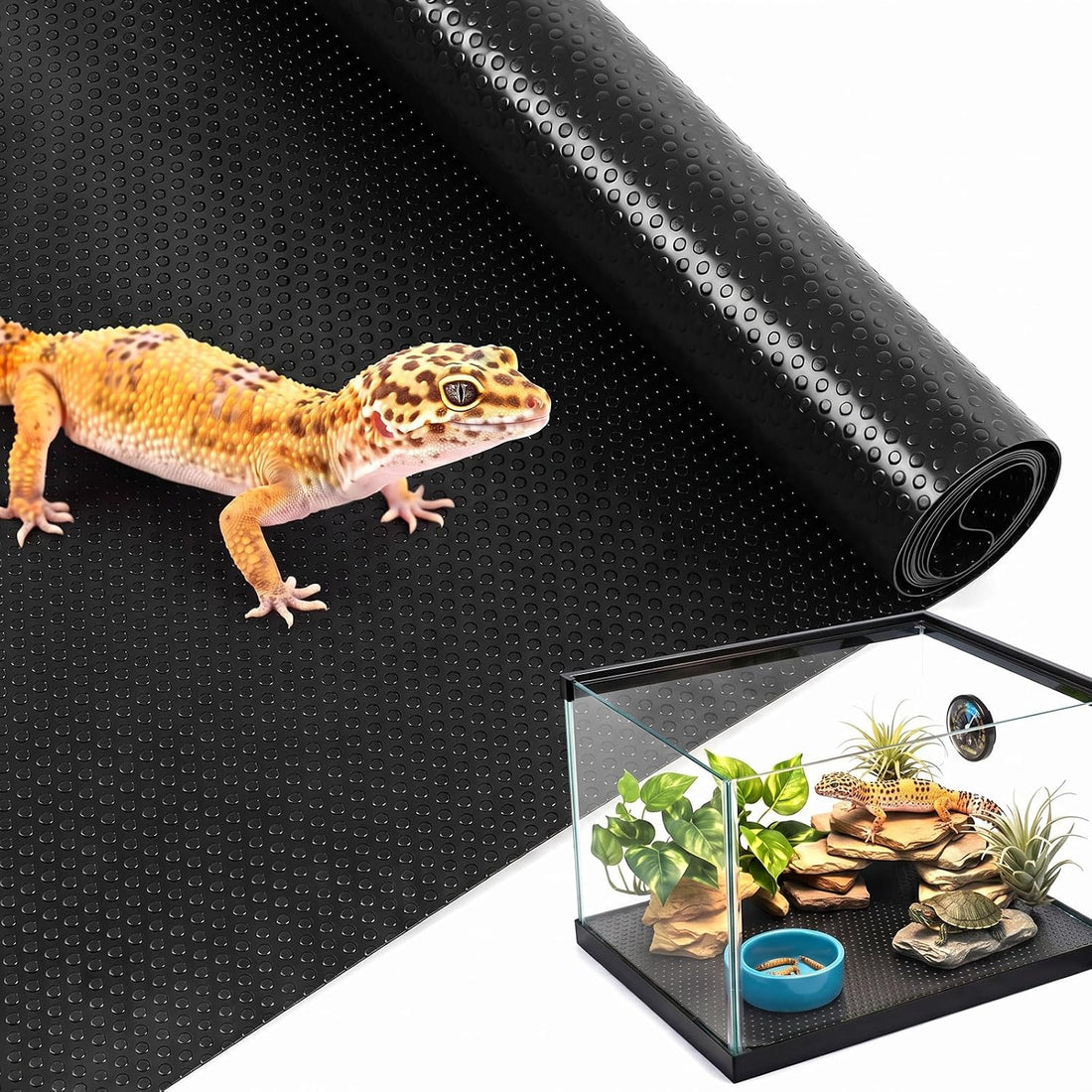 Bearded Dragon Tank Accessories